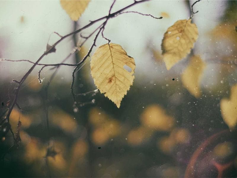 Sambil LED (W→E) — Av. Kennedy, Entrada Principal